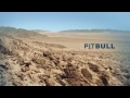 Pitbull - Rain Over Me ft. Marc Anthony video online