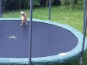 Lišky na trampolíně video online