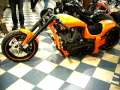 Harley Davidson - Neuvěřitelné video online#