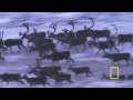 National Geographic - Utajená Aljaška video online