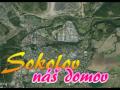 Sokolov video online