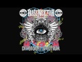 Bassnectar - Voodoo video online#