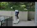Parkour and FreeRunning Fails 2011 video online#