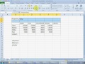 MS Excel video online#