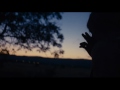 Meruňkový ostrov trailer cz video online