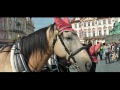 Český politický song video online