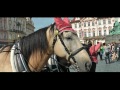 Český politický song video online#