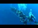 Freediving:Martin Štěpánek video online#