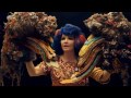 Björk - mutual core video online