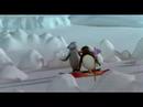 Pingu a snowboard video online