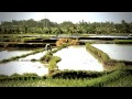  Překrásné Bali video online