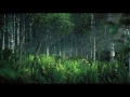 Království lesních strážců - trailer video online
