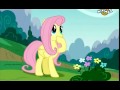 My little ponny-Magické přátelství video online