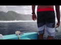 Surfování s velrybami video online