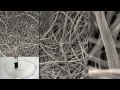 Robot požírající ropné svrny video online