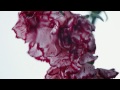 John Legend - Made To Love  video online#