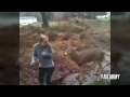 Když zvířata útočí - neuvěřitelná videa video online