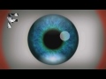 Ultimátní optické iluze - kompilace 2013 video online#