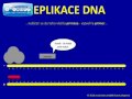 Pohádka o replikaci DNA  video online
