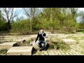 Umění žonglování video online#