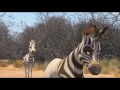 Khumba trailer video online