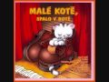 Malé kotě spalo v botě video online#