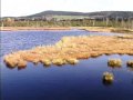 Národní park Šumava video online#