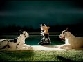 Lady Gaga - Poker Face video online#