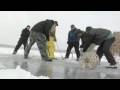 Potápění pod ledem v Minnesotě video online#