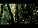 Eddie Vedder - Long Nights video online#